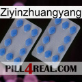 Ziyinzhuangyang 20